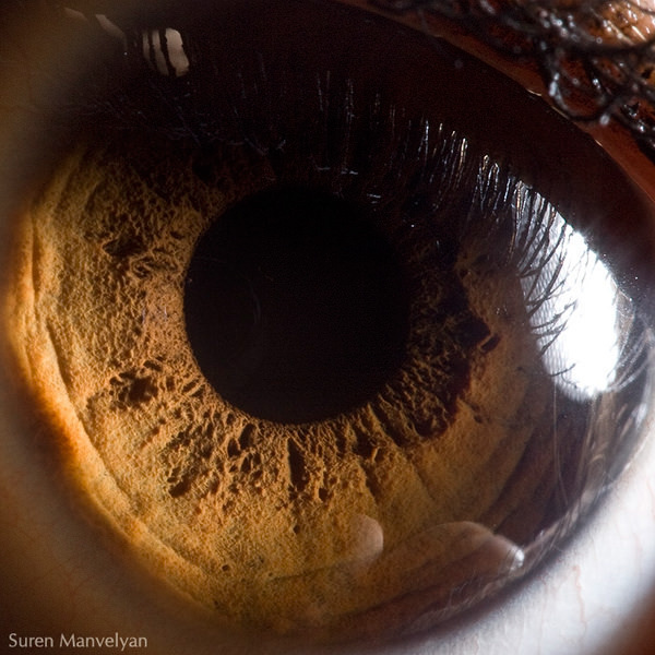 Extraordinary Close-Up Photos of Human Eyes That Capture the Beauty in Details