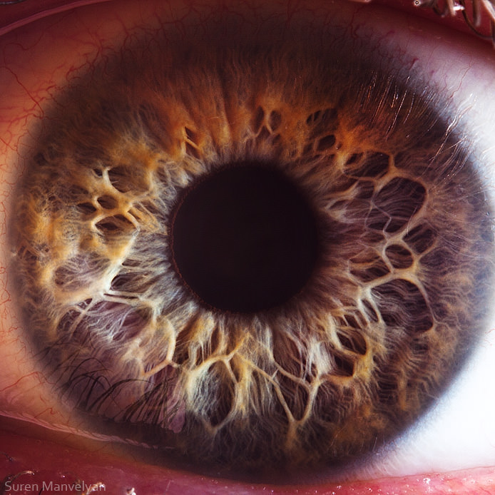 Extraordinary Close-Up Photos of Human Eyes That Capture the Beauty in Details