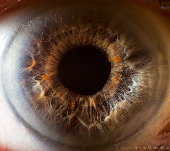 Extraordinary Close-Up Photos of Human Eyes That Capture the Beauty in Details