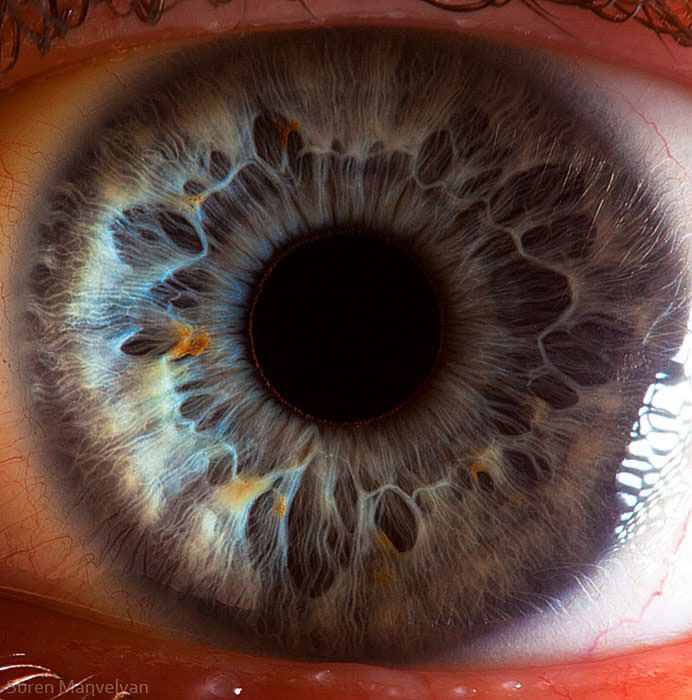 Extraordinary Close-Up Photos of Human Eyes That Capture the Beauty in Details