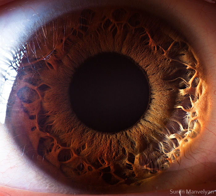 Extraordinary Close-Up Photos of Human Eyes That Capture the Beauty in Details