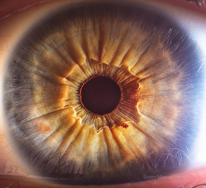 Extraordinary Close-Up Photos of Human Eyes That Capture the Beauty in Details