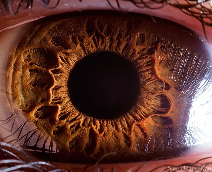 Extraordinary Close-Up Photos of Human Eyes That Capture the Beauty in Details