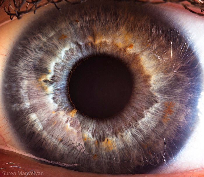 Extraordinary Close-Up Photos of Human Eyes That Capture the Beauty in Details