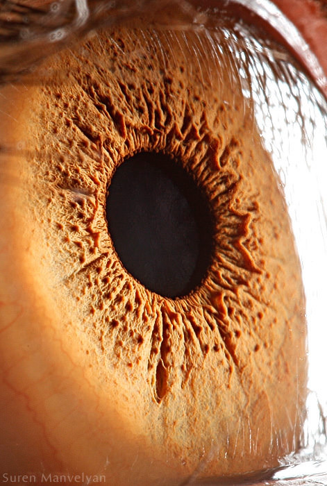 Extraordinary Close-Up Photos of Human Eyes That Capture the Beauty in Details