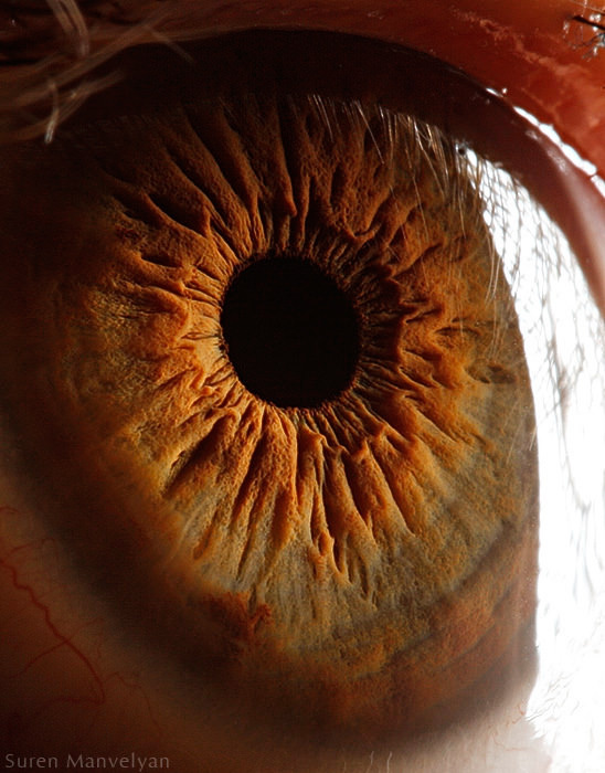 Extraordinary Close-Up Photos of Human Eyes That Capture the Beauty in Details