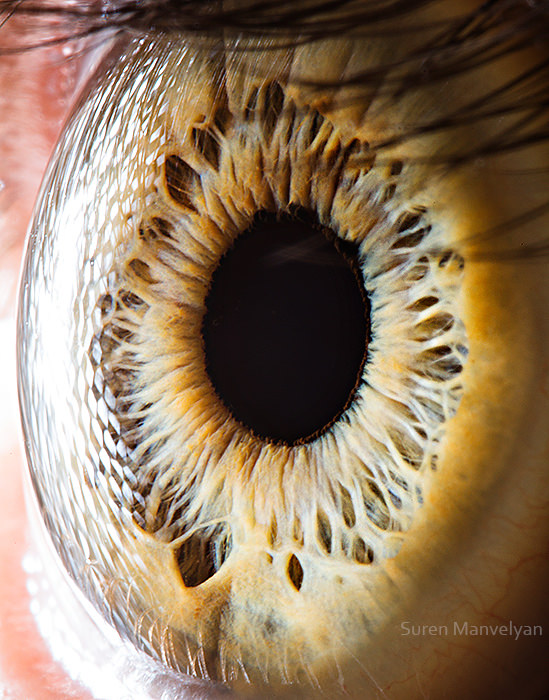 Extraordinary Close-Up Photos of Human Eyes That Capture the Beauty in Details