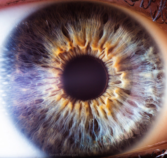 Extraordinary Close-Up Photos of Human Eyes That Capture the Beauty in Details