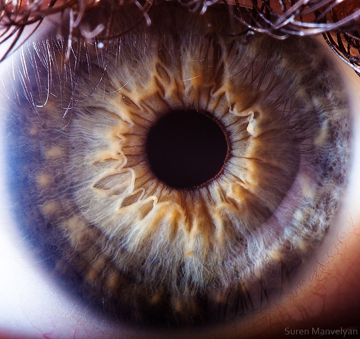 Extraordinary Close-Up Photos of Human Eyes That Capture the Beauty in Details