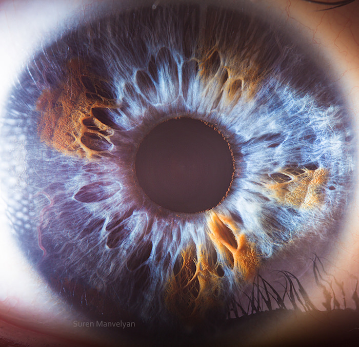 Extraordinary Close-Up Photos of Human Eyes That Capture the Beauty in Details