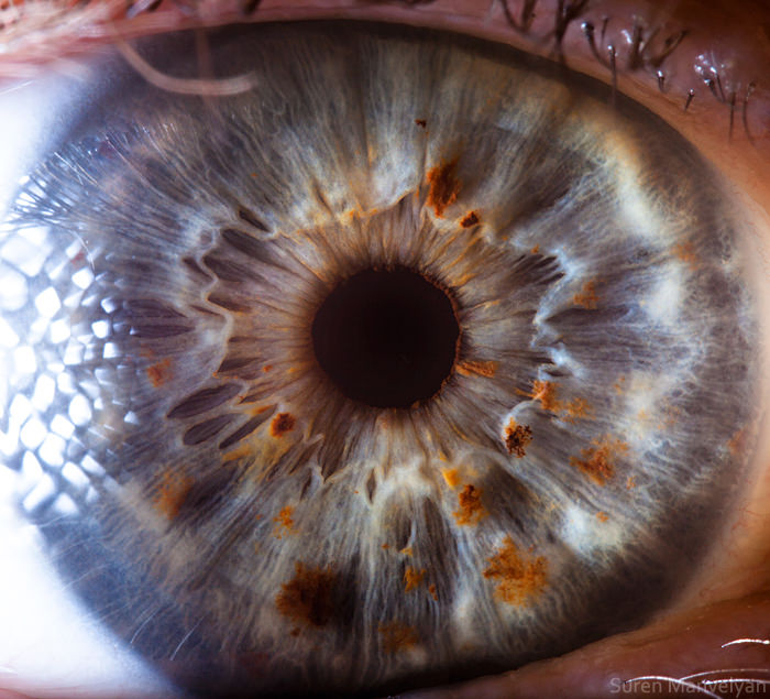 Extraordinary Close-Up Photos of Human Eyes That Capture the Beauty in Details