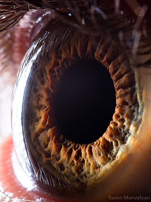 Extraordinary Close-Up Photos of Human Eyes That Capture the Beauty in Details