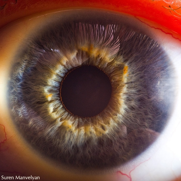 Extraordinary Close-Up Photos of Human Eyes That Capture the Beauty in Details