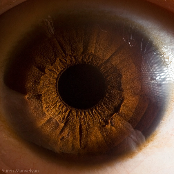 Extraordinary Close-Up Photos of Human Eyes That Capture the Beauty in Details