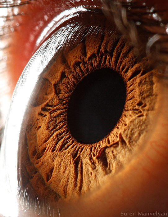 Extraordinary Close-Up Photos of Human Eyes That Capture the Beauty in Details