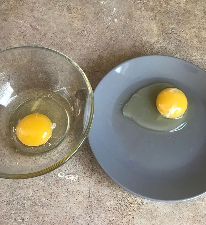 I thought pregnancy brain was fake. It's not. To make scrambled eggs this morning, I cracked one egg in a bowl and the other on a plate.