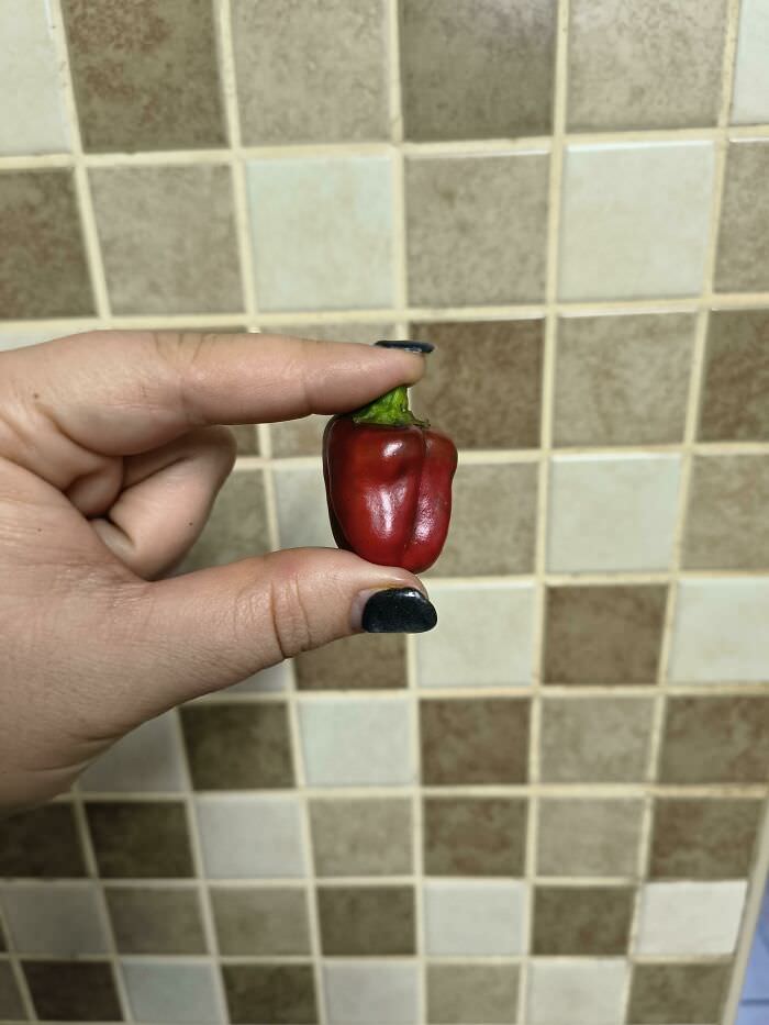 The mightiest red pepper!