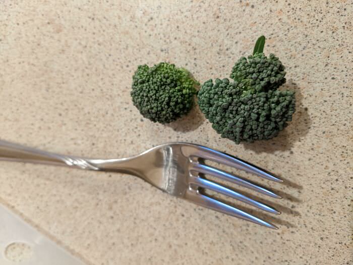 Bite-sized broccoli heads.