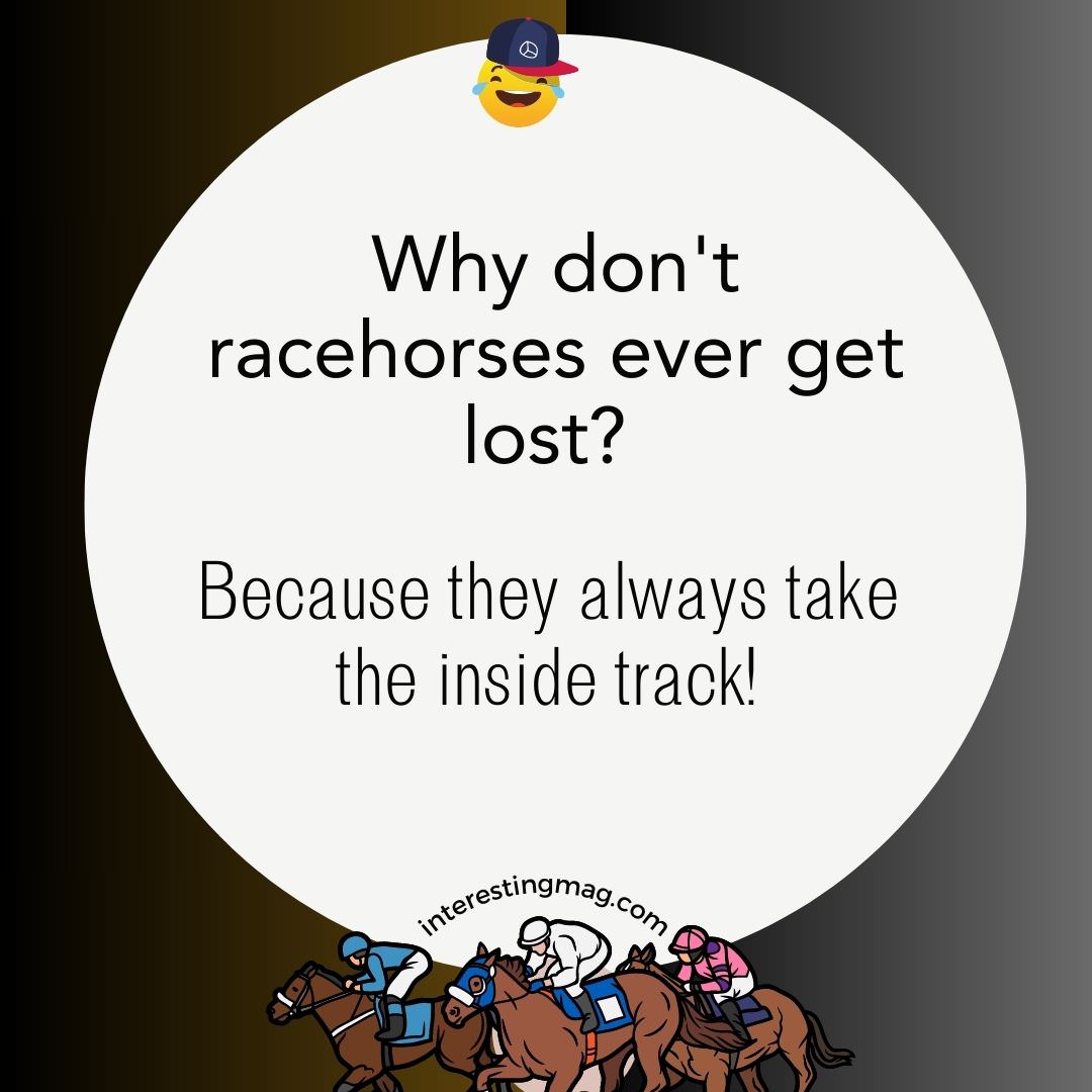 Hilarious Horse Racing Jokes That Will Get You Galloping with Laughter