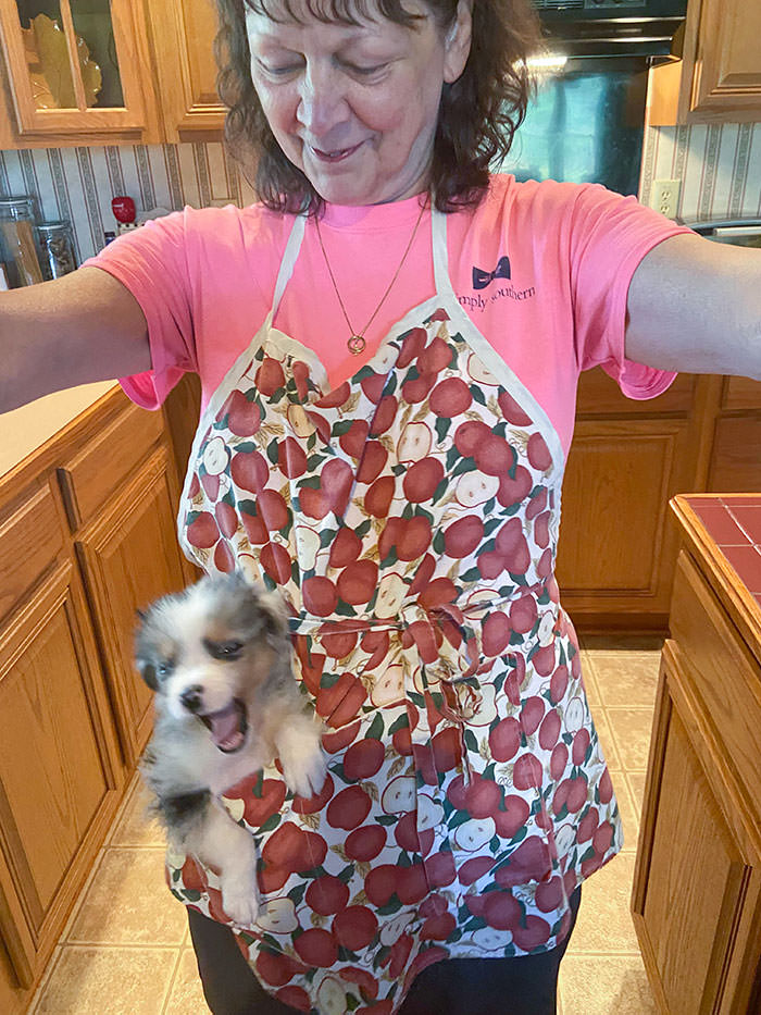 My mom puts their puppy in her apron pocket when she preps dinner, and I'm not sure who enjoys it more