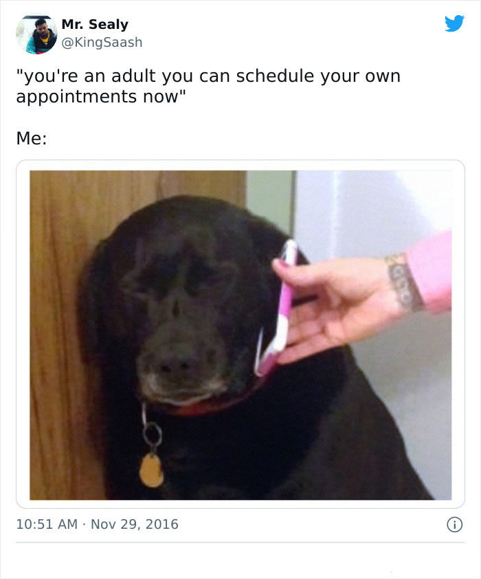 100 of the Best Memes about Adulthood That Decode the 'Adulting' Dilemma