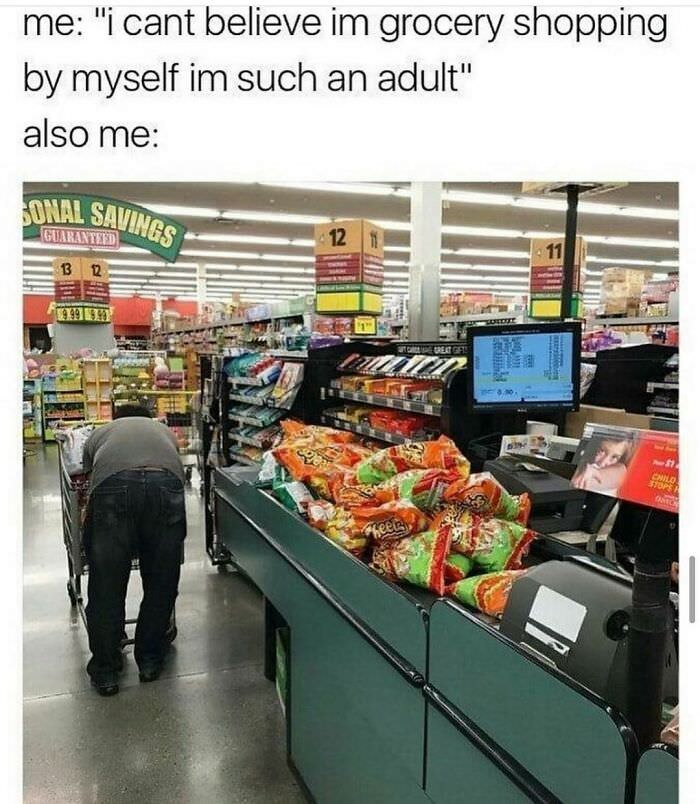 100 of the Best Memes about Adulthood That Decode the 'Adulting' Dilemma