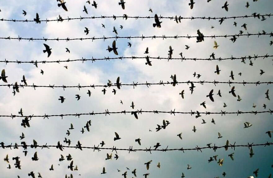 This could be a cover for a book about freedom and imprisonment... Powerful.