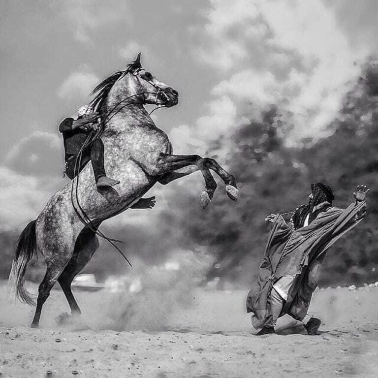 A Journey Through the Most JawDropping Animal Photos Ever Captured