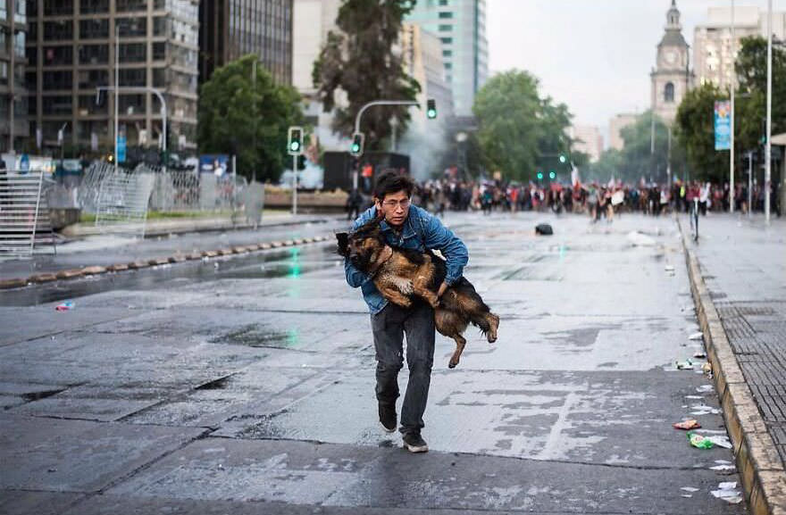 Good man saving pup from chaos