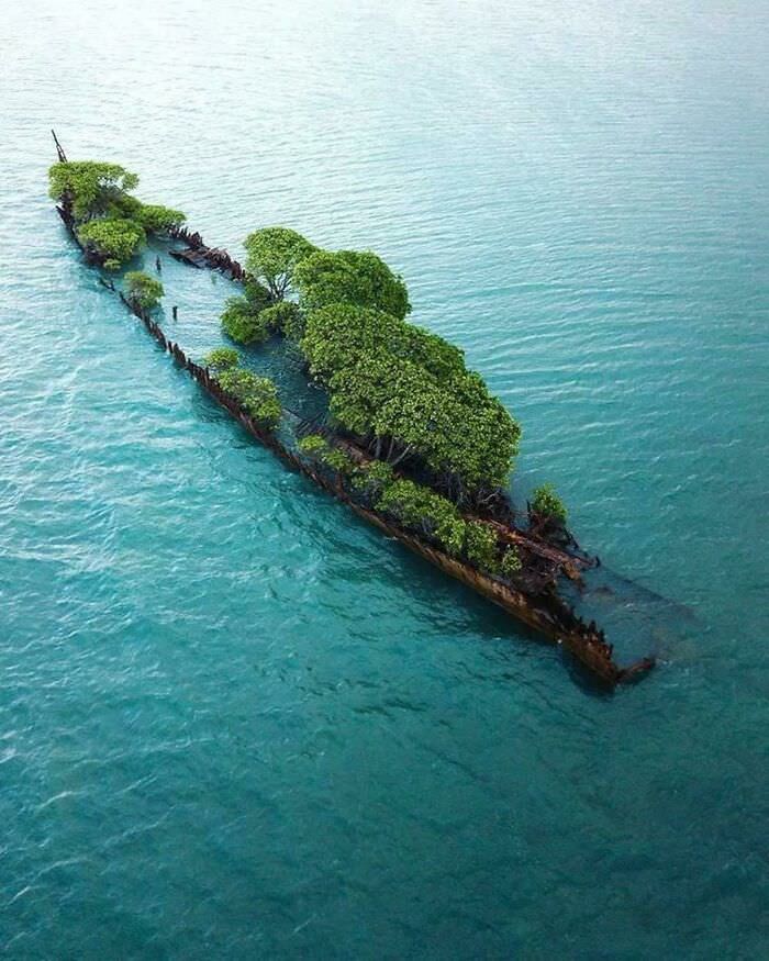Saw this picture on facebook from the page wonders of the planet earth. A shipwreck being reclaimed by the sea