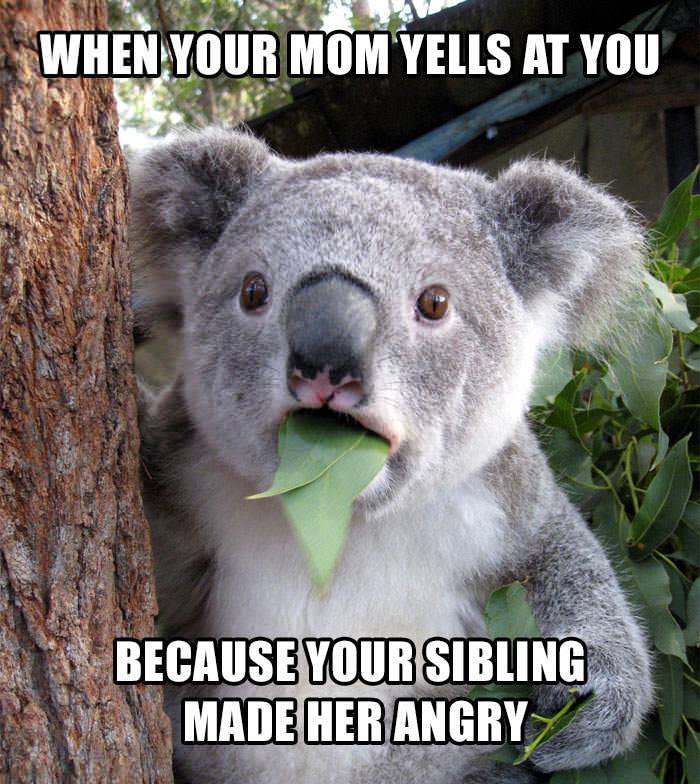 100 of the Best Sibling Memes That Perfectly Capture Your Shared Chaos