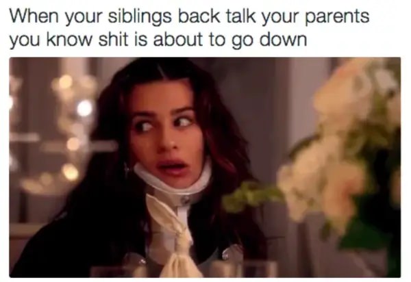 100 of the Best Sibling Memes That Perfectly Capture Your Shared Chaos
