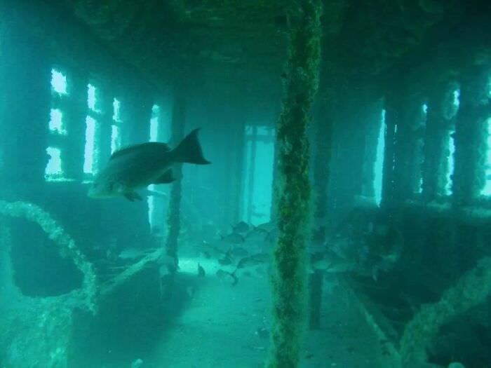 Retired NYC subway car turned artificial reef off the coast