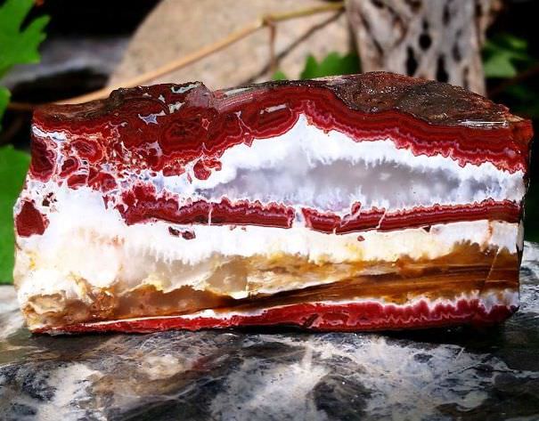 Saw this rock and thought it was a cheesecake