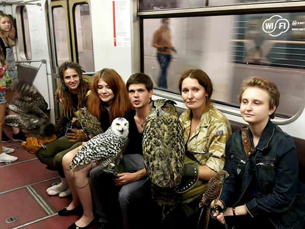Taking the subway in Moscow is a real hoot.