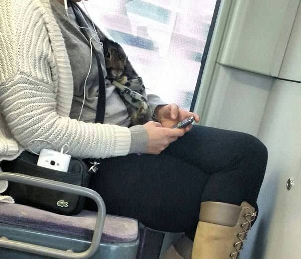 This woman is taking her rabbit for a ride on the subway.