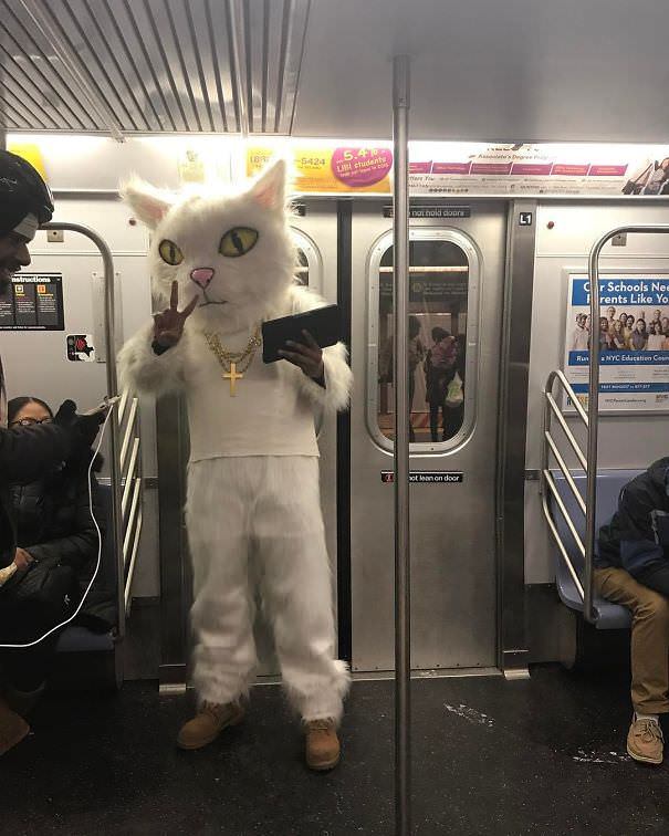 Catman in a train.
