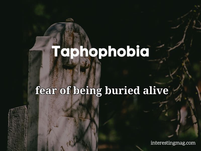 Taphophobia