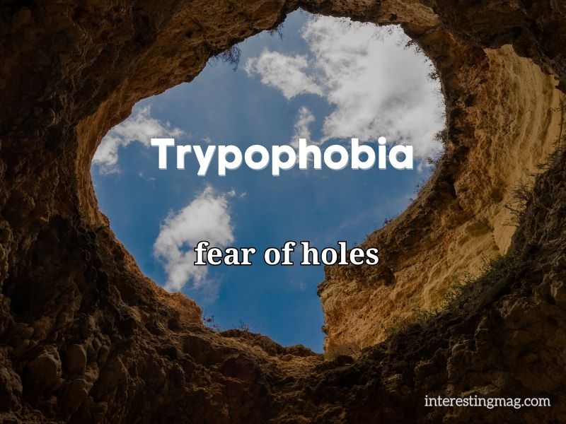 Trypophobia