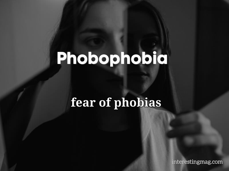 Phobophobia