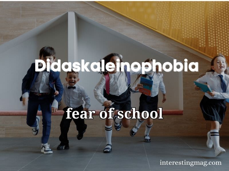 Didaskaleinophobia