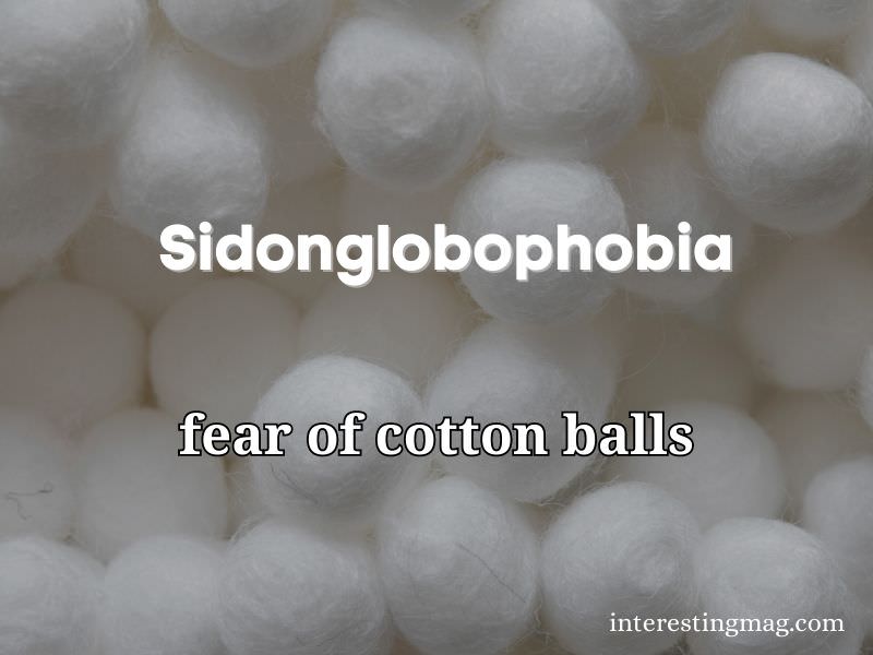 Sidonglobophobia