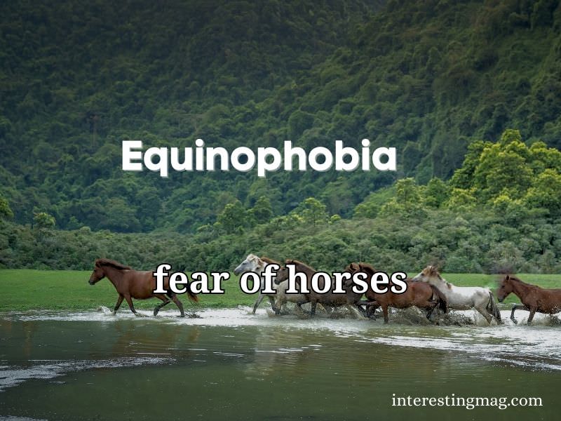 Equinophobia