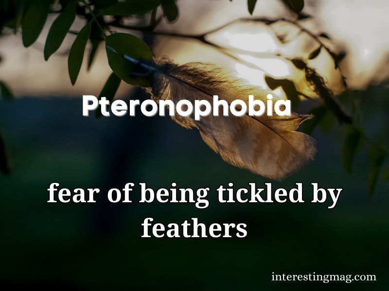 Pteronophobia