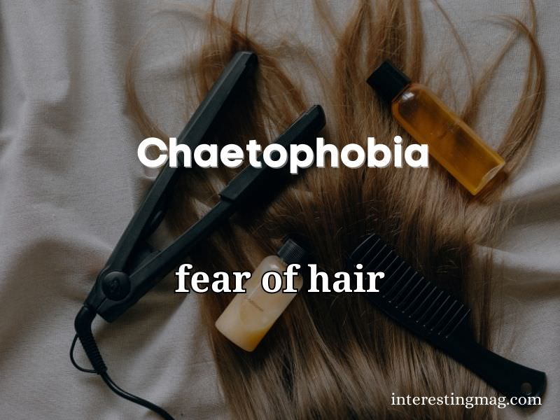 Chaetophobia