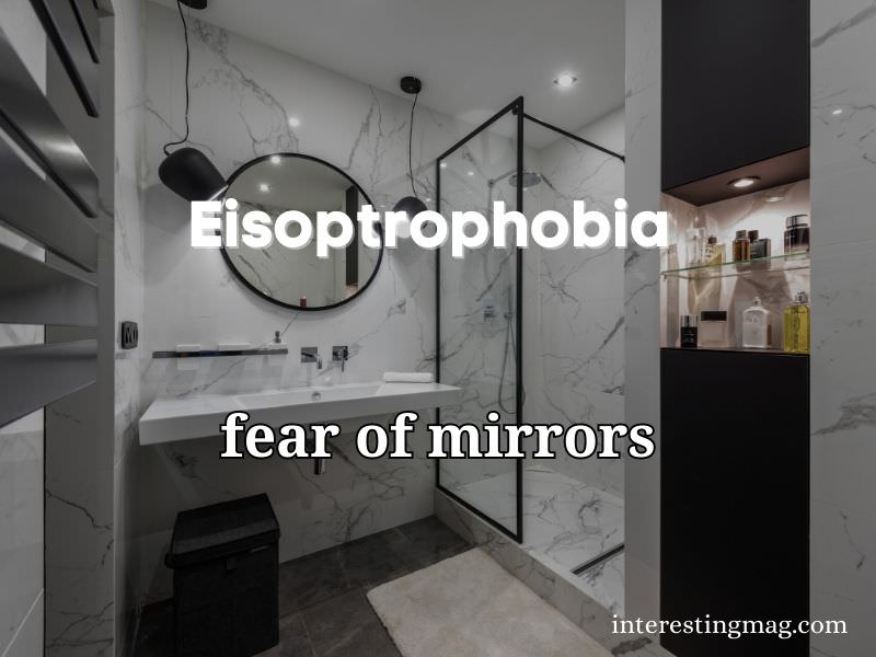 Eisoptrophobia