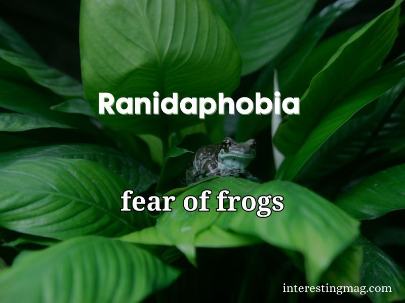 Ranidaphobia