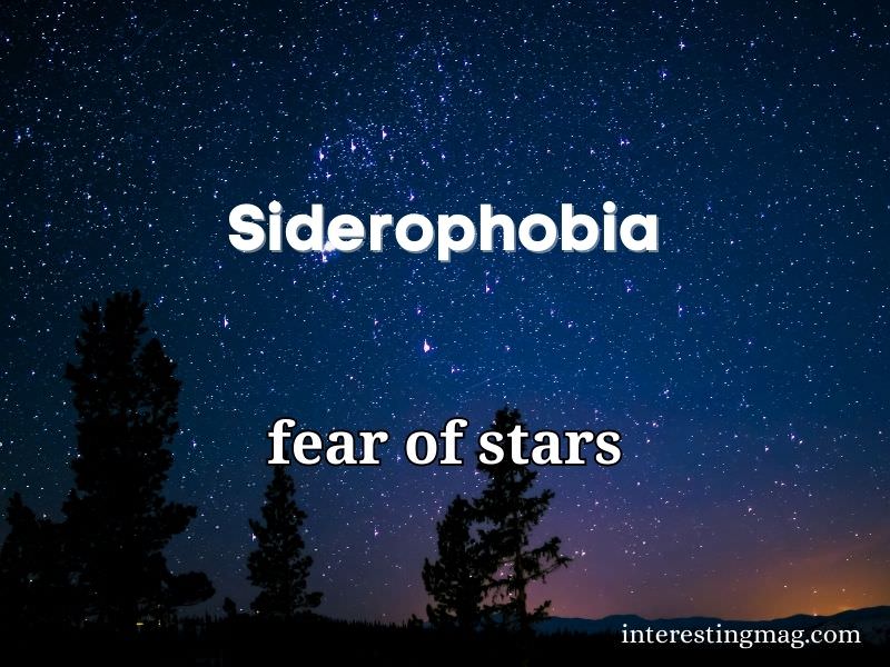 Siderophobia