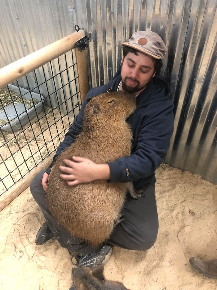 Here's my favorite picture of me with a snuggly capybara.