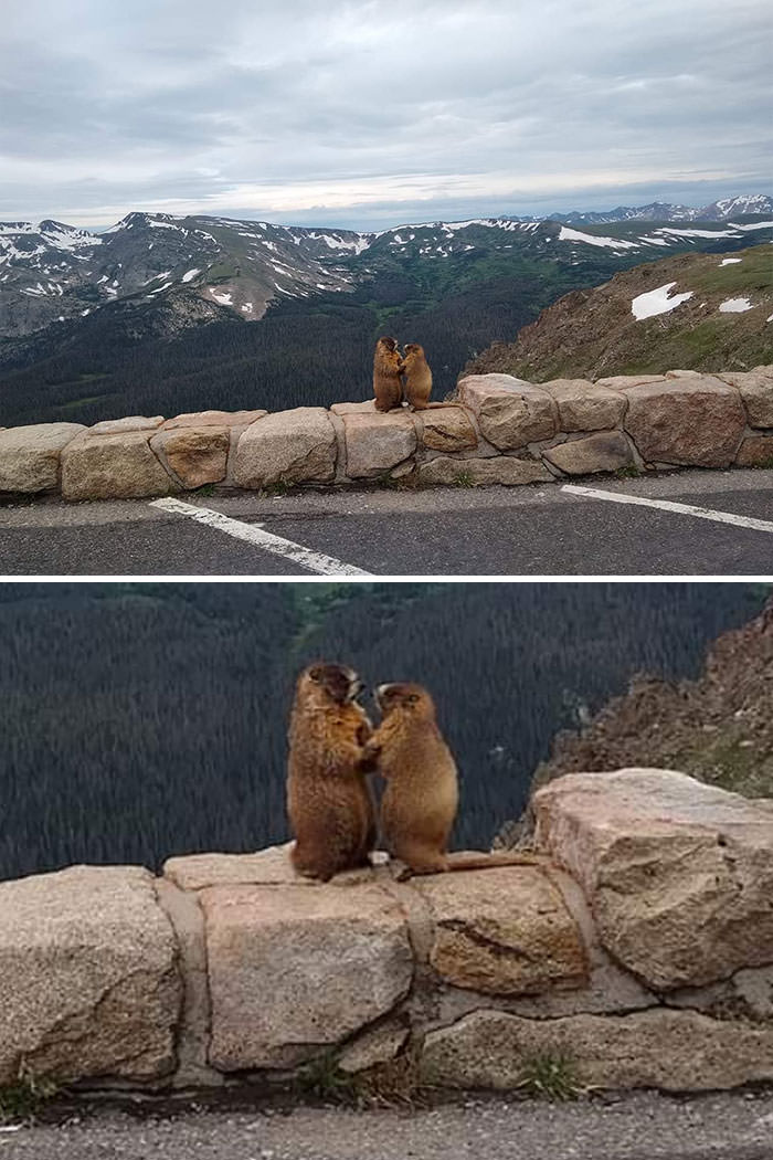 My sister accidentally caught this Pikes Peak proposal on camera.